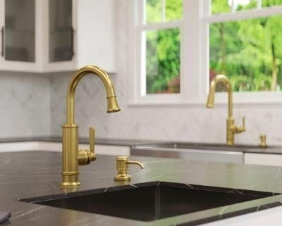 Brushed gold Pfister faucet at a dark kitchen sink