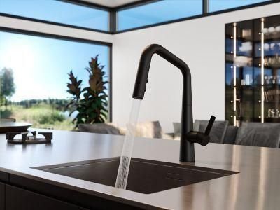 Matte black pull-down faucet over a dark kitchen sink