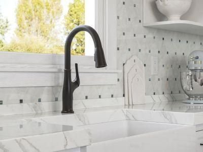 Kitchen idea with the Highbury Pulldown Kitchen Faucet in Tuscan Bronze, Pfister