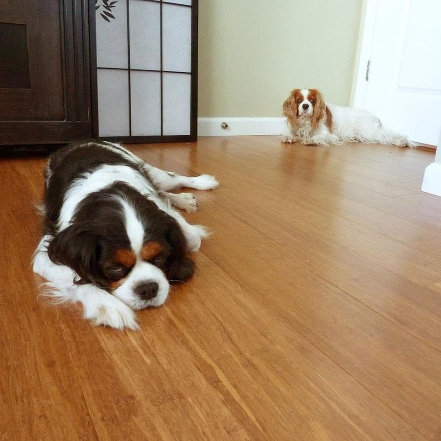 Tile idea with the CALI Mocha Wide Click Bamboo 9/16" (Covers 21.5 SQFT) 7014006500, CALI