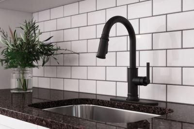 Kitchen idea with the Colfax Pulldown Kitchen Faucet in Matte Black, Pfister