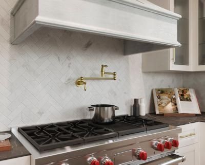 Kitchen idea with the Port Haven 2-Handle Pot Filler Faucet in Brushed Gold, Pfister